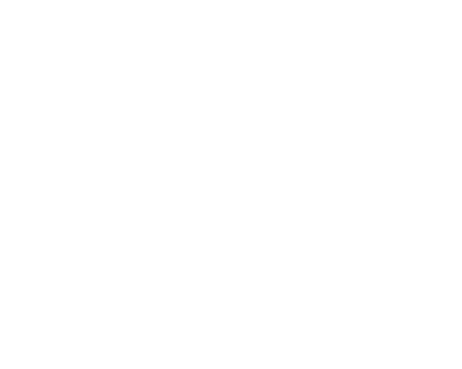 Netmore logo white