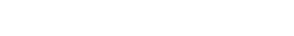 Netmore Text logo white