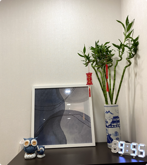 Office desk with bamboo plant, decorative art, and owl figures at Netmore, showing a calm and creative career workspace.